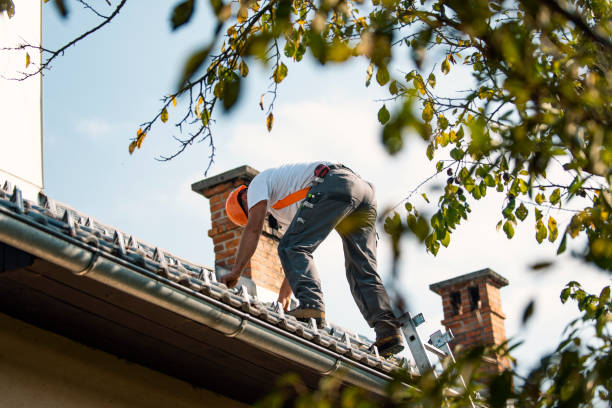 Best Residential Roofing Contractor  in Pocatello, ID